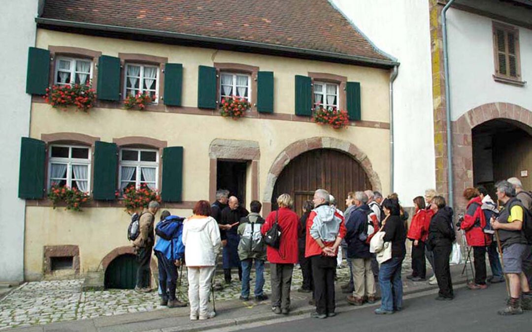 04auersmacher11_lupp_web